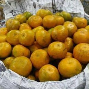Fruxi- Jeruk Medan Super/1Kg