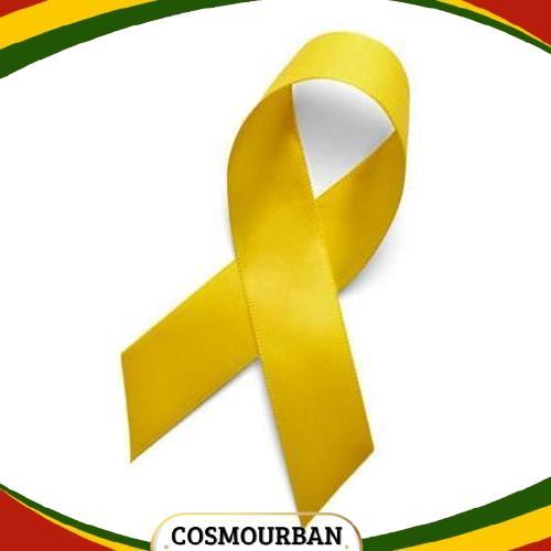 2 M Pita Twirling Satin dan Tongkat Twirl Aksesoris Tari Nari Penari Tarian Tamborin Tamborine Gerej