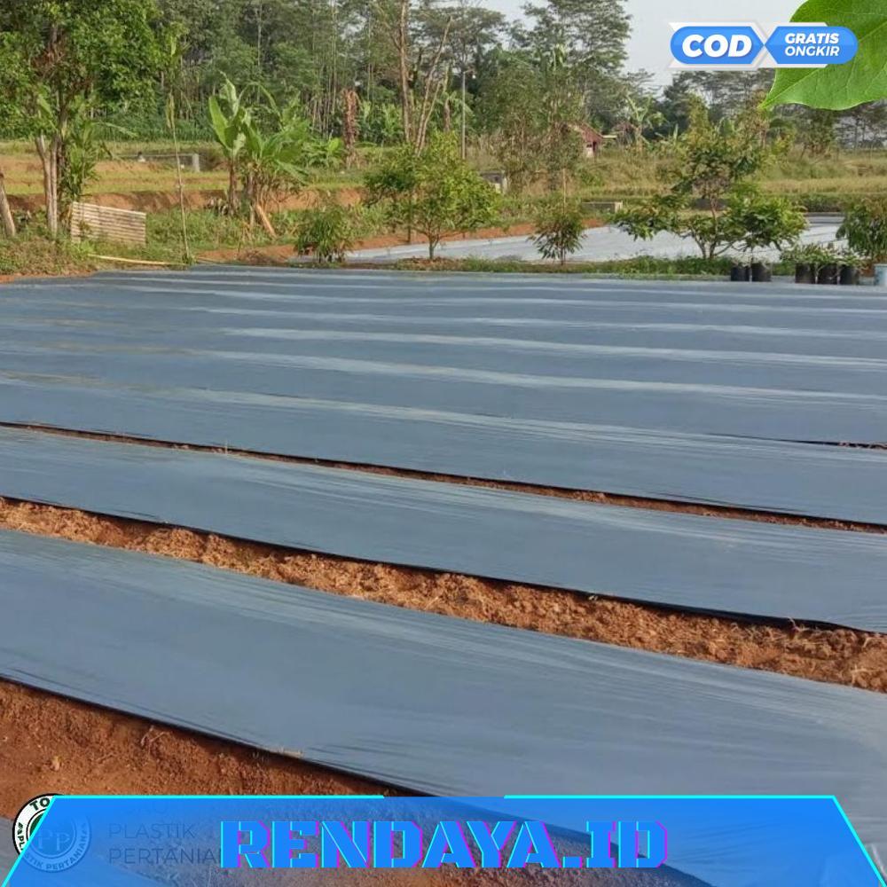 Mulsa Plastik Mulsa Hitam Perak 1 Roll 5 kg - Tebal Kuat Bagus Murah Elastis - RO30-1312 2025 Bisa C