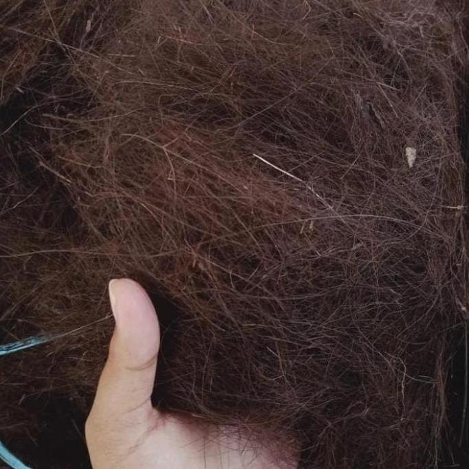 TERMURAH - Ijuk Resapan untuk Filter Air, Septic tank, Resapan Taman dll - Harga Kiloan