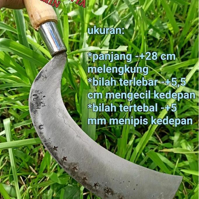 HISR Arit / Sabit Deres Penderesan Baja Isen Lapis 3 untuk Nira Kelapa dengan Gagang - Alat Pertania