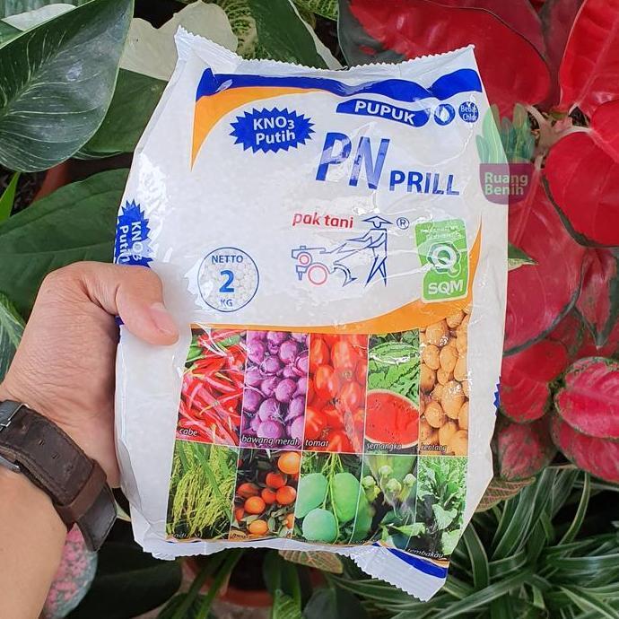 Pupuk Tanaman Pn Prill Pak Tani 2 Kg Pril Kno3 Putih Nitrat Potasium