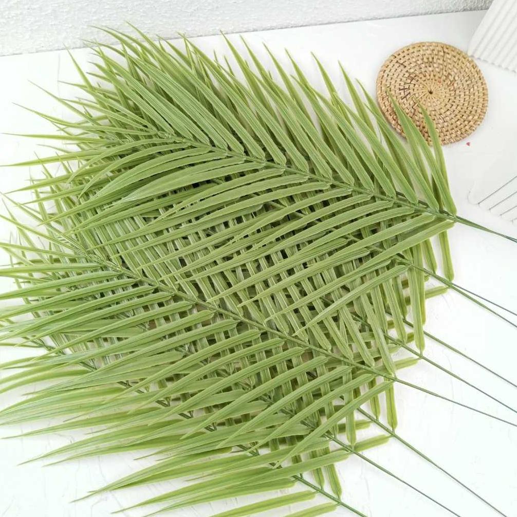 Bisa Cod Ya Kak Daun Tropical 1 Lusin / 12Pcs - Monstera Philodenron Palem Pakis Pinus Gajah - Tanam