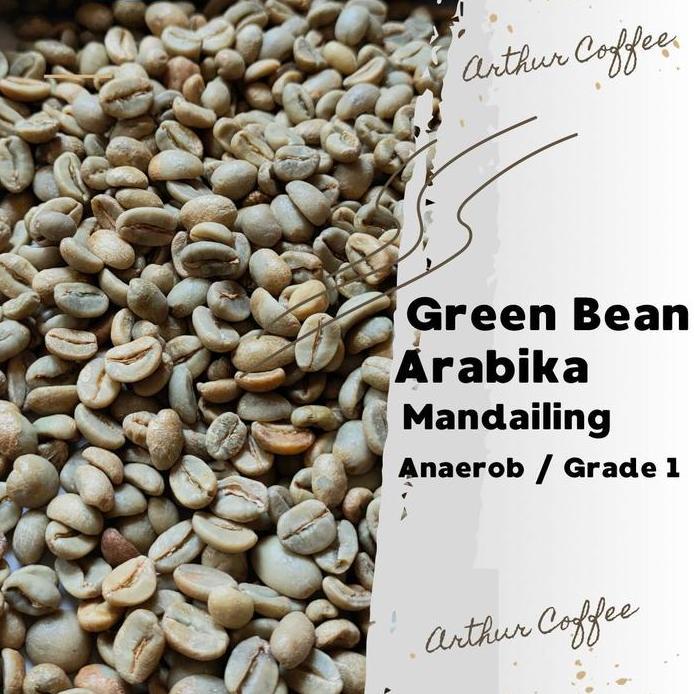 Ready Green bean / Biji kopi arabika MANDAILING - Anaerob TERMURAH