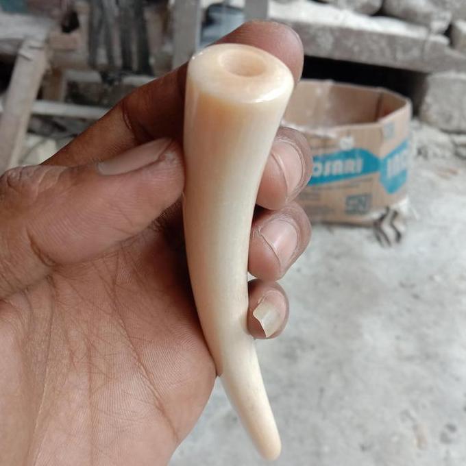 ASLI pipa once tulang iga duyung bulat super bening READY STOCK