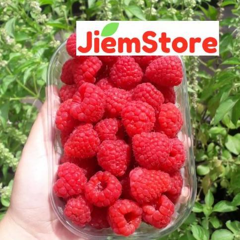 NEW RASPBERRY FRESH RASBERRY SEGAR RASBERI BUAH BERRIES BEST