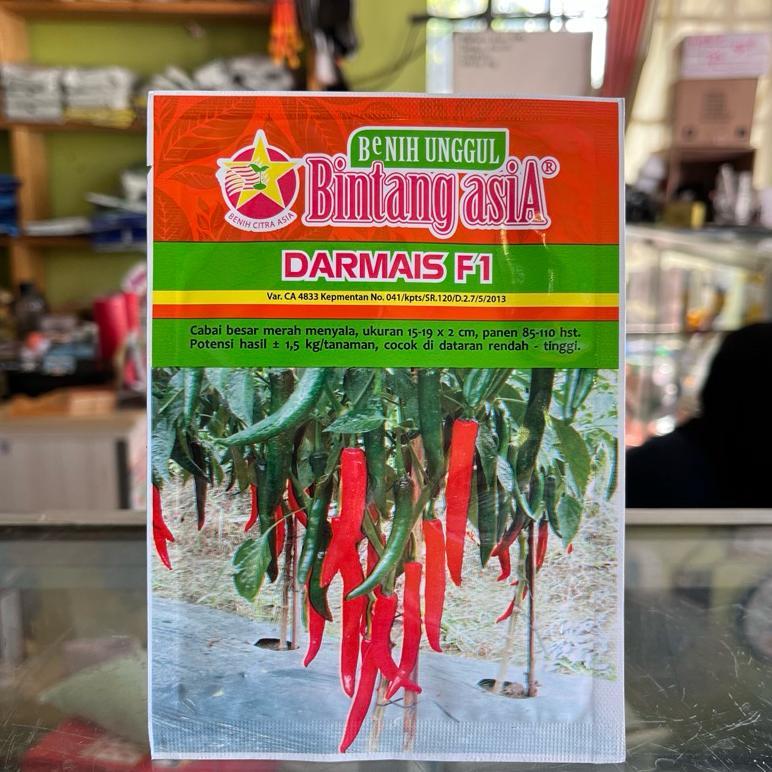 Benih Cabe Besar Darmais F1 Isi 10gr Bintang Asia