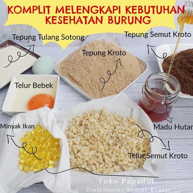 Enixc- Pur Kroto Kering (200 Gr)