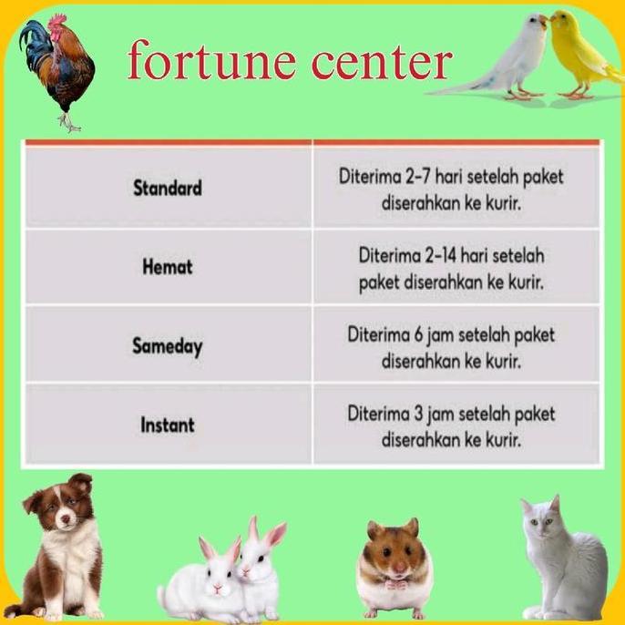 Brixd- Power Kacer Vitamin Penggacor Burung Kacer Murai Spt Ebodjos Premium Super