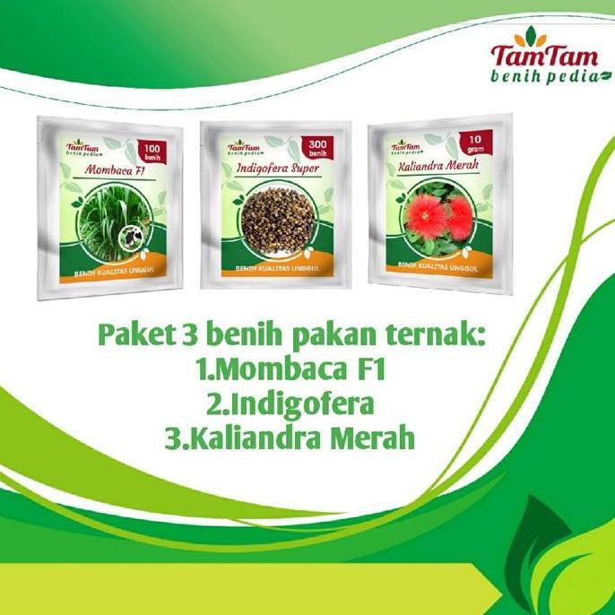 Gaerdenpic- Paket 3 Benih Pakan Ternak Hijau Mombaca F1, Indigofera, Kaliandra Merah