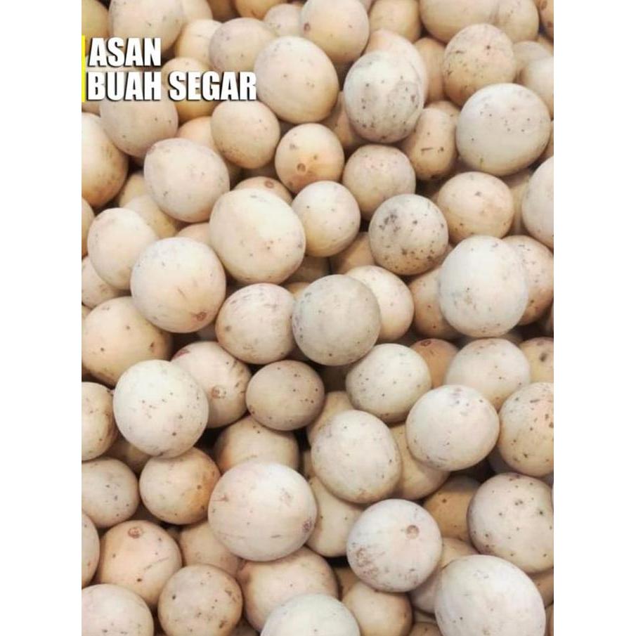 NEW BUAH DUKU PONTIANAK / PALEMBANG LANGSAT MANIS KOKOSAN BEST