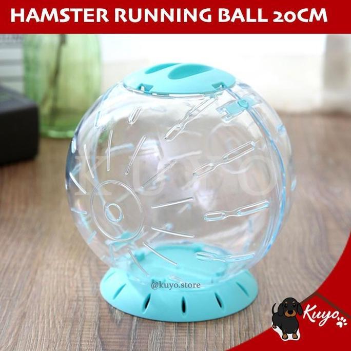 Running Ball Big 20cm Mainan Hamster Lari Roda Putar Besar Landak Mini [terbaik]
