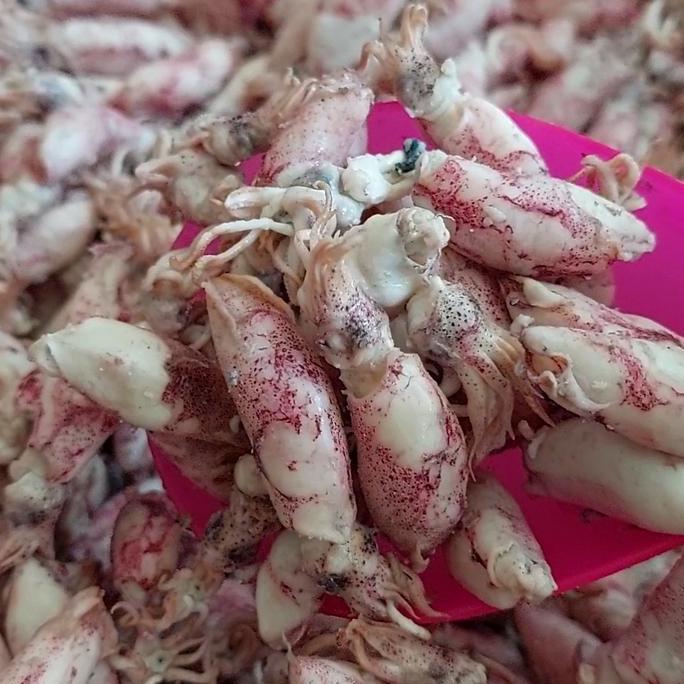 cumi baby asin 1kg/baby cumi asin 1kg