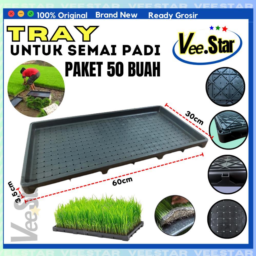 Bisa Cod Tray Semai Bibit Padi / Alat Semai Padi / Rice Seedling 50Tray .....
