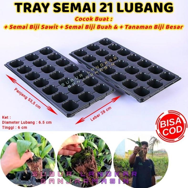 Bisa Cod Tray Semai 21 Lubang Cocok Buat Biji Besar ...