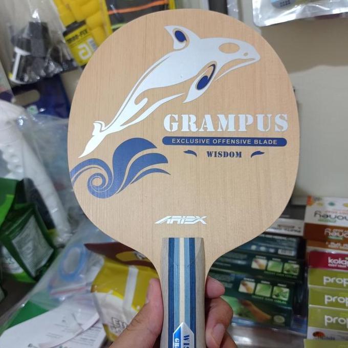 KAYU TENIS MEJA ARIEX GRAMPUS WISDOM
