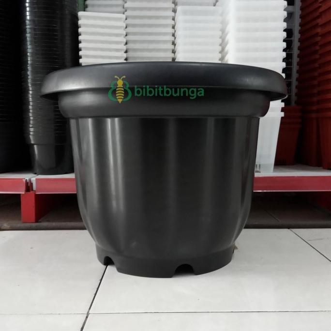best produk] Pot BigMom Hitam 50cm 50 cm Tanaman Bunga Buah Hias Ukuran Besar Jumbo