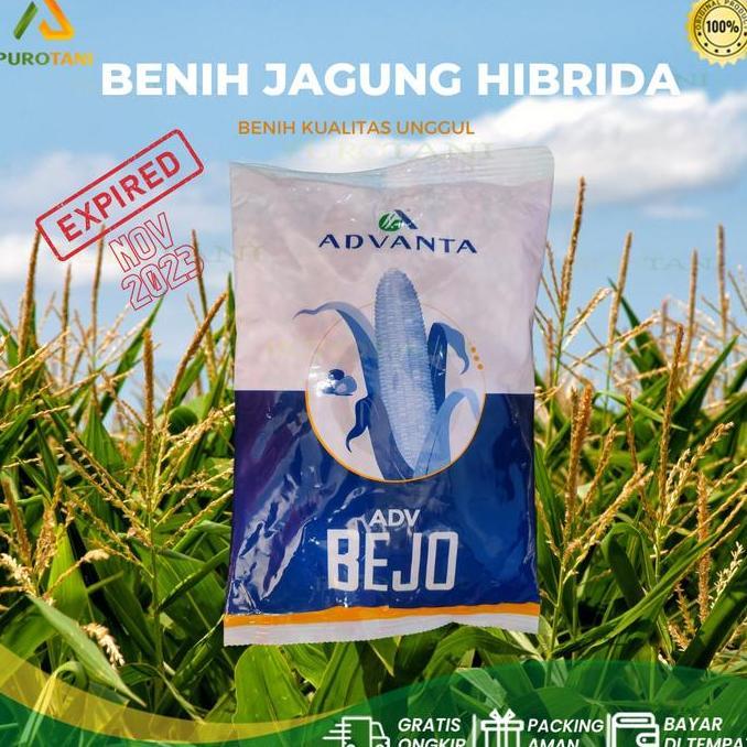 Benih Jagung Hibrida Adv Bejo 1Kg