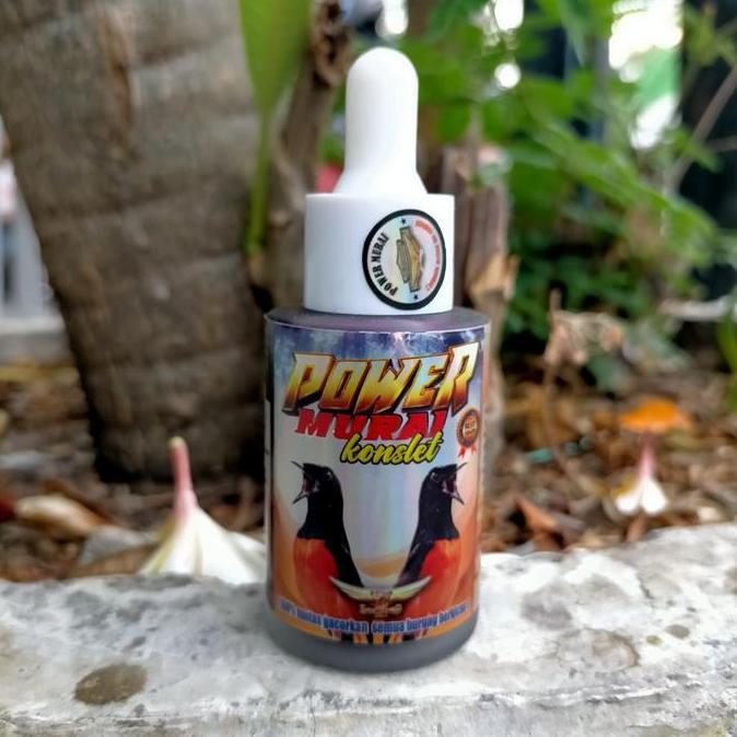 Tqs Power Murai Konslet Vitamin Suplemen Penggacor Burung Murai Batu Lomba Dan Harian