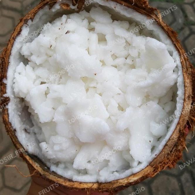 NEW [TERMURAH] KELAPA KOPYOR JUMBO XXL-PUAN COCONUT FRESH BEST