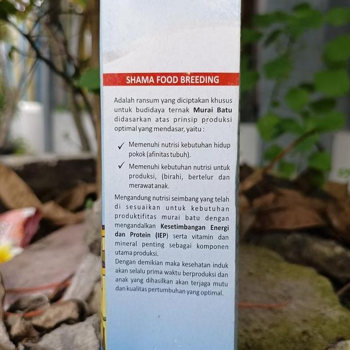 Tqs Voer Shama Food Breeding Murai Batu Voer Khusus Untuk Ternak Burung Murai Batu Netto 500Gram