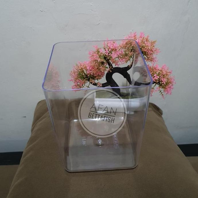 Toples Soliter Ikan Cupang 4 Liter Kotak Akrilik