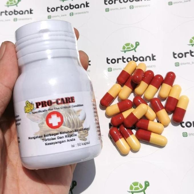 PROCARE OBAT PILEK KURA OBAT KURA OBAT NAPSU MAKAN KURA OBAT REPTIL