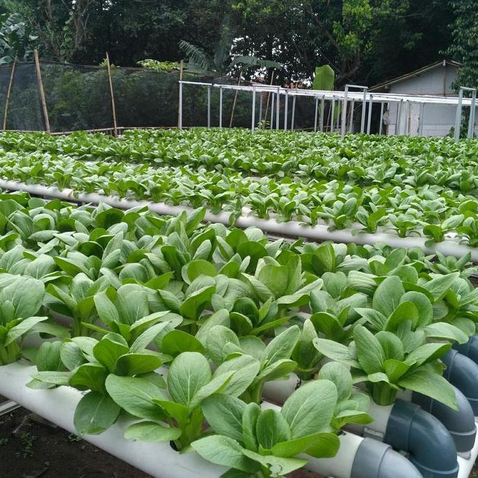 Gardenfil Ab Mix Premium 1 Liter ( Sayur Daun )