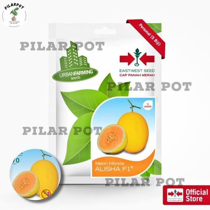 Gardenfil Benih Bibit Melon Hibrida Alisha F1 Cap Panah Merah - Melon Alisha F1