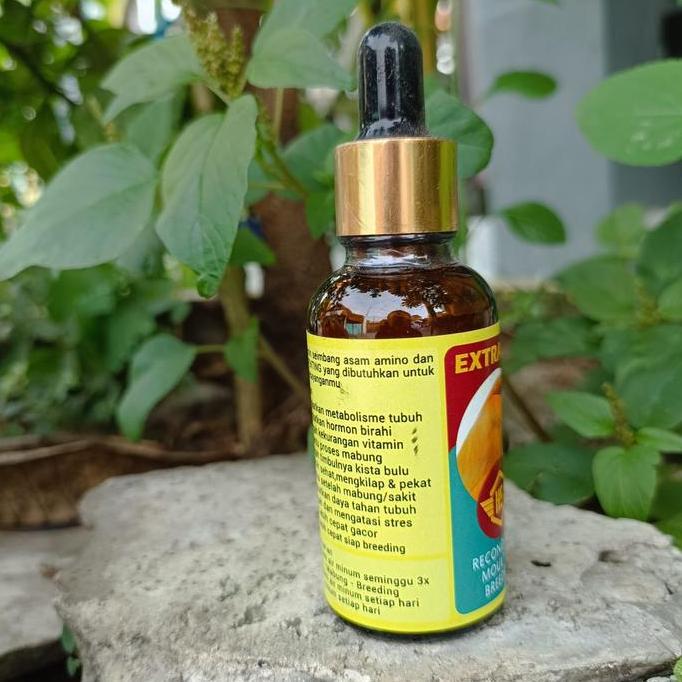 Tqs Vitamin Kenari Hs Extravit Burung Extra Sehat Dan Extra Fit Kualitas Nyata Untuk Burung Kenari