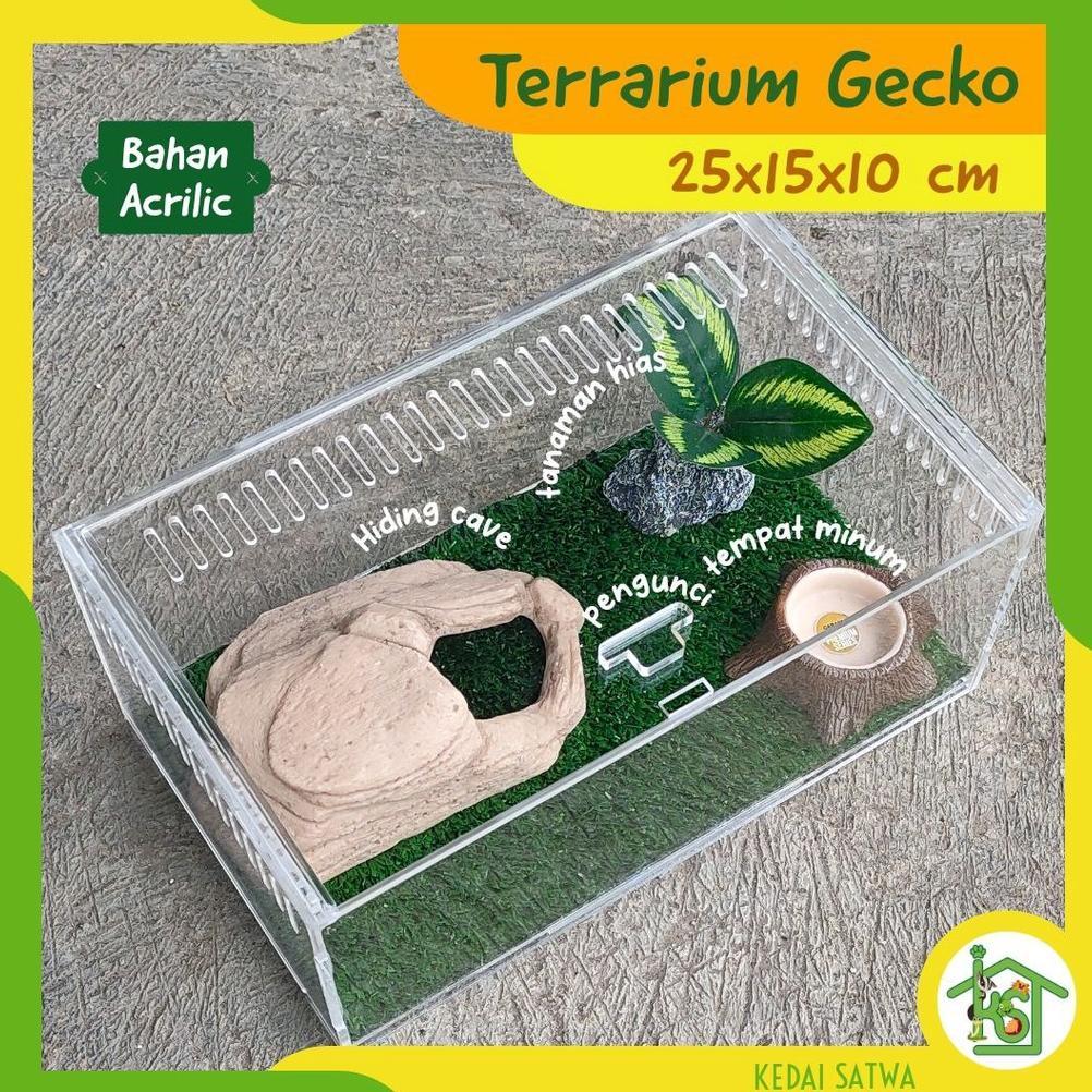 Enclosure Terrarium Kandang Gecko, Corn Snake, Ular, Tarantula