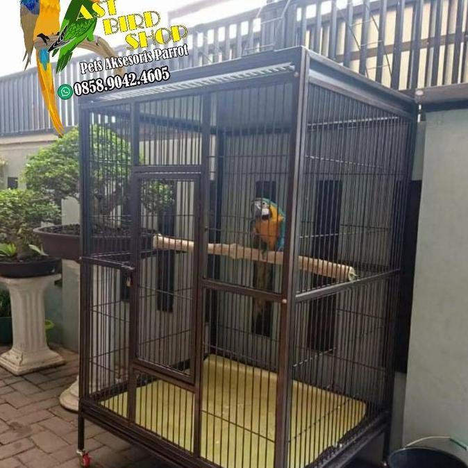 Kandang macaw