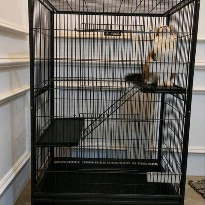 kandang tingkat octagon cat 10