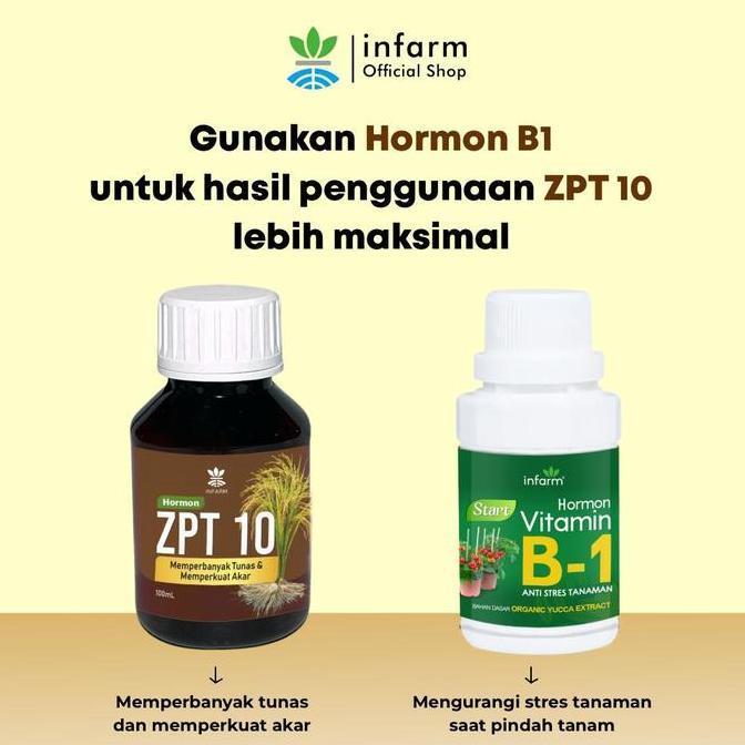 INFARM -   Perangsang Akar ZPT 10 Penguat Batang Akar Tanaman 100ML  Penguat Batang Akar & Memperkua