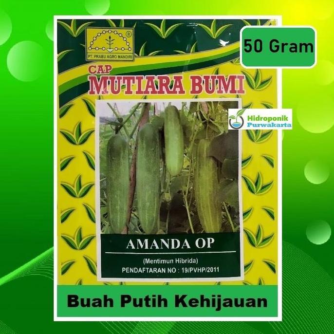 Ground- Benih Timun Mentimun Ketimun Amanda Cap Mutiara Bumi Tipe Putih Kehijauan Isi 50 Gram