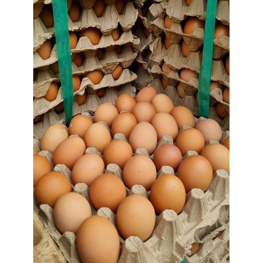 HarvestMoon Telur Ayam Negri 1 Peti