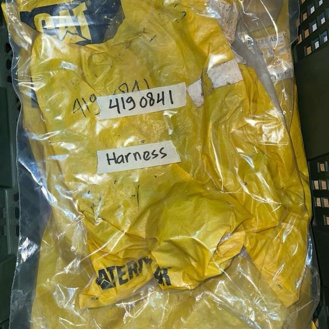 419-0841 / 4190841 Harness As Genuine Part