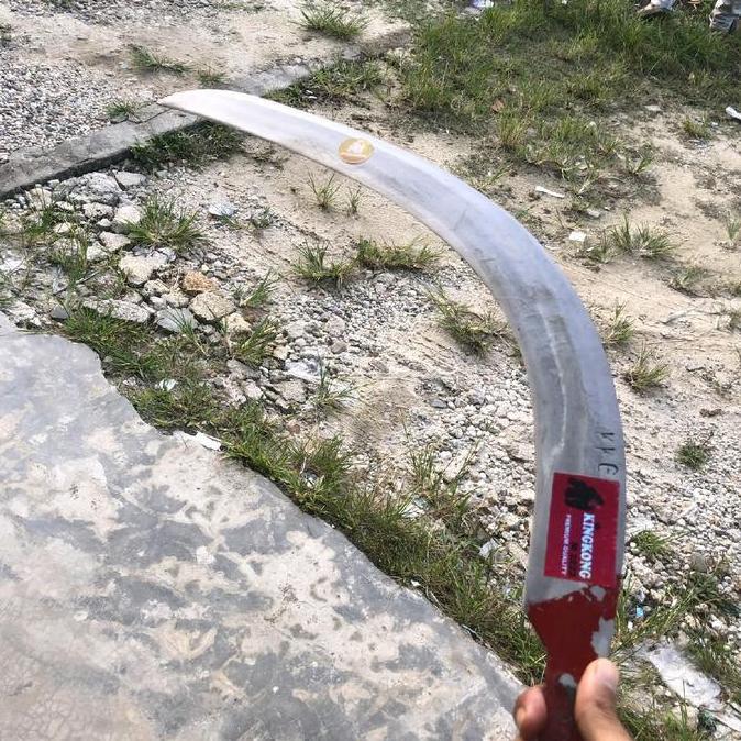 ALAT PANEN SAWIT EGREK KINGKONG TANPA ASAH ORIGINAL LANGSUNG BISA DI GUNAKAN