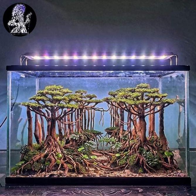 HARDSCAPE AQUARIUM AQUASCAPE HIASAN AQUARIUM AQUASCAPE ELEGAN AQUARIUM AQUASCAPE JUNGLE BONSAI DF AQ