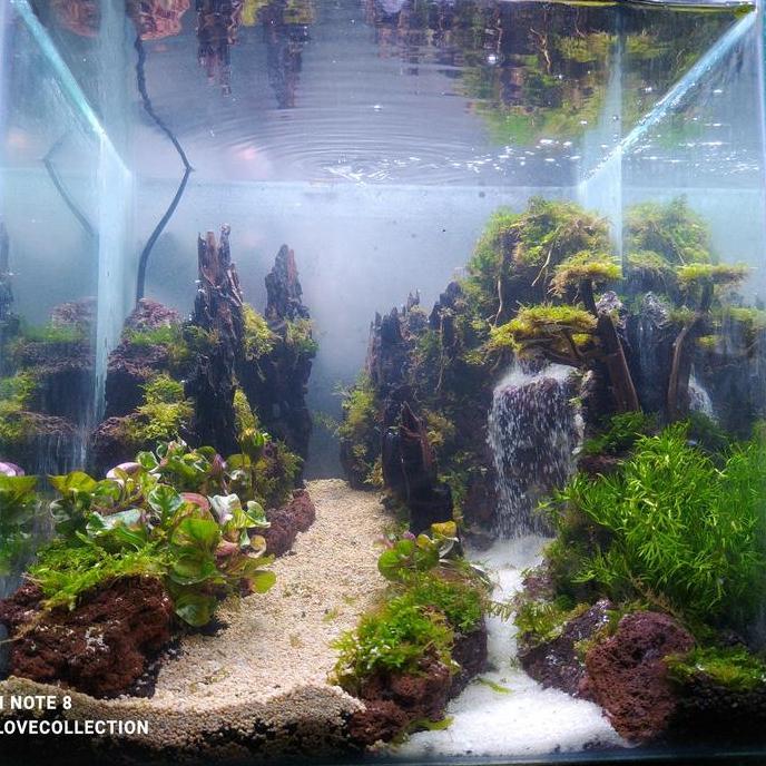 Aquascape aquarium fullset 30cm/Aquascape murah fullset