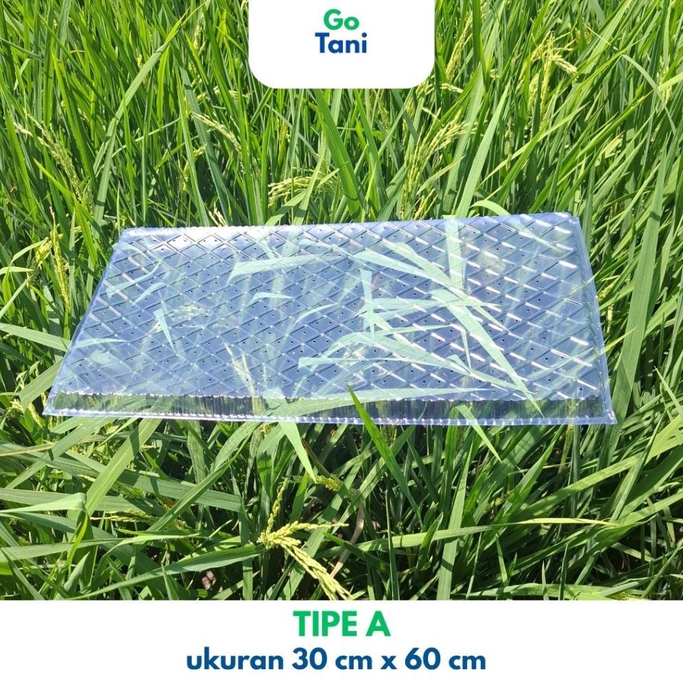 Bisa Cod ( Tipe A ) Tray Semai Benih Padi / Tray Semai Padi / Wadah Semai Padi / Tray Semai ...