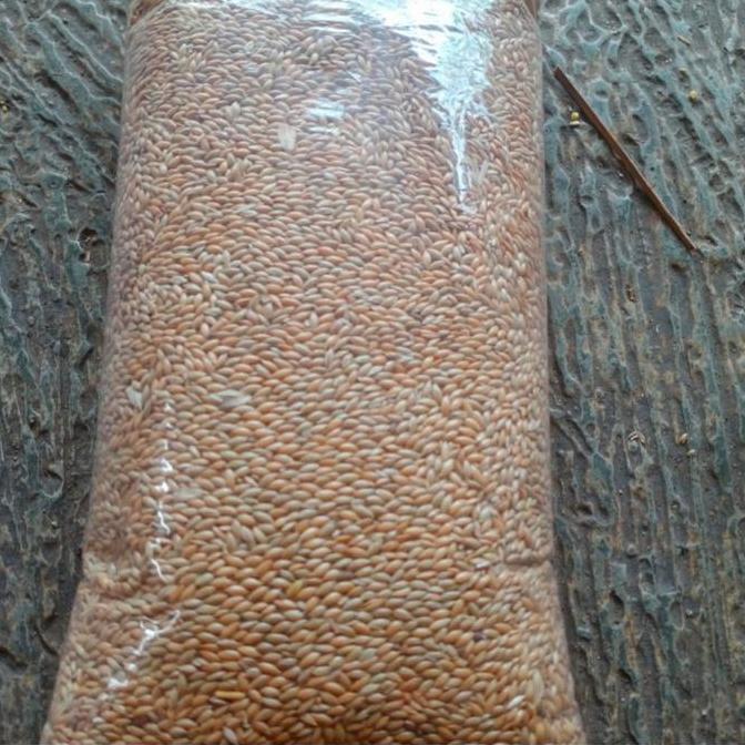 Bluee- Canary Seed 1Kg/Canary Seed Repack Merk Vita/Makana Kenari