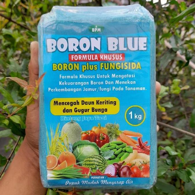 Taman- Boron Blue 1 Kg / Formula Khusus/ Boron Plus Fungisida/ Untuk Mencegah Daun Keriting Dan Gugu