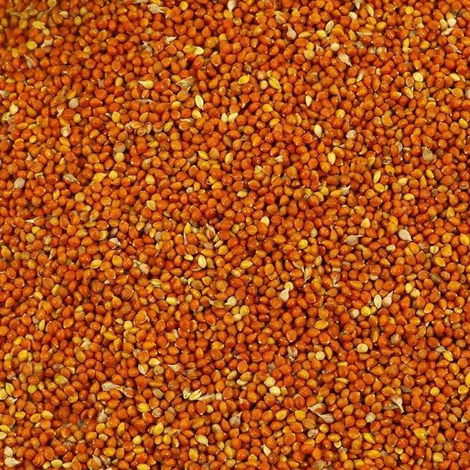 Bluee- Biji Jawawut / Otek / Jewawut 1 Kg