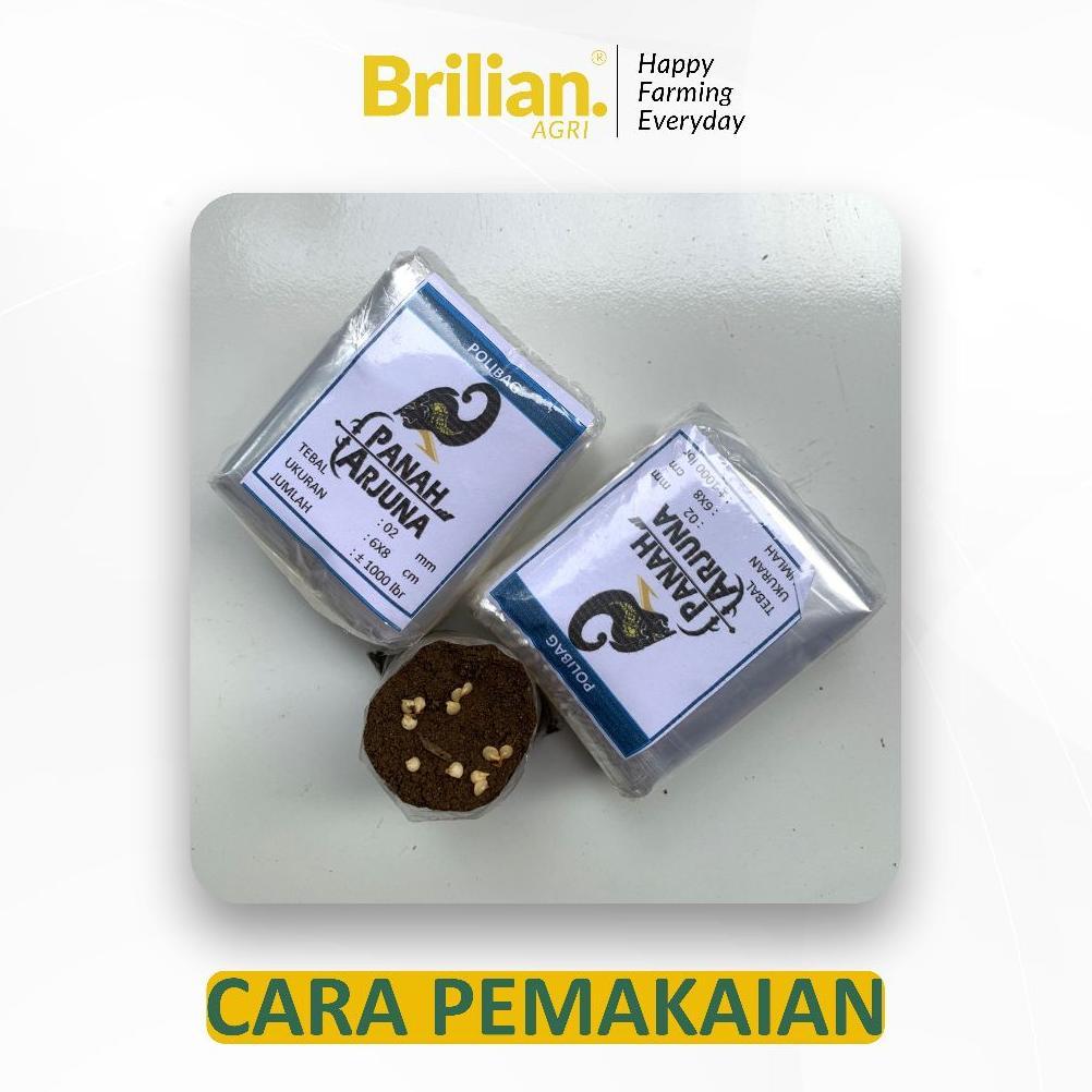 Bisa Cod Brilian - 1000 Lembar  Polibag Semai Cabe Polybag Semai Benih Polibag Pembibitan ....