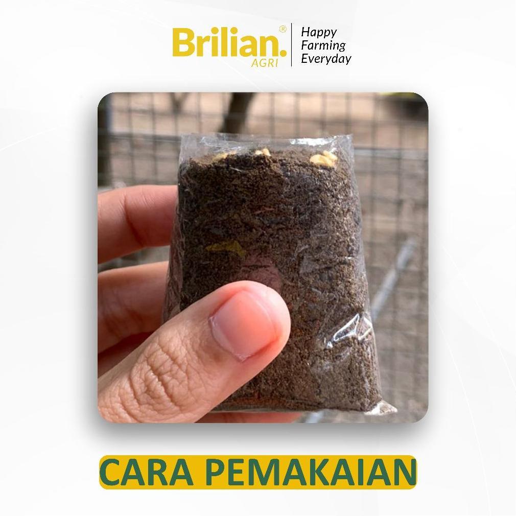 Bisa Cod Brilian - 1000 Lembar  Polibag Semai Cabe Polybag Semai Benih Polibag Pembibitan ....