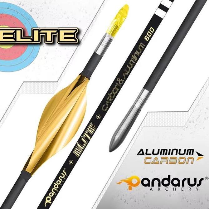 TERLARIS Anak Panah Arrow Musen Hybrid Pandarus Carbon Alumunium Elite Xt St 0.001