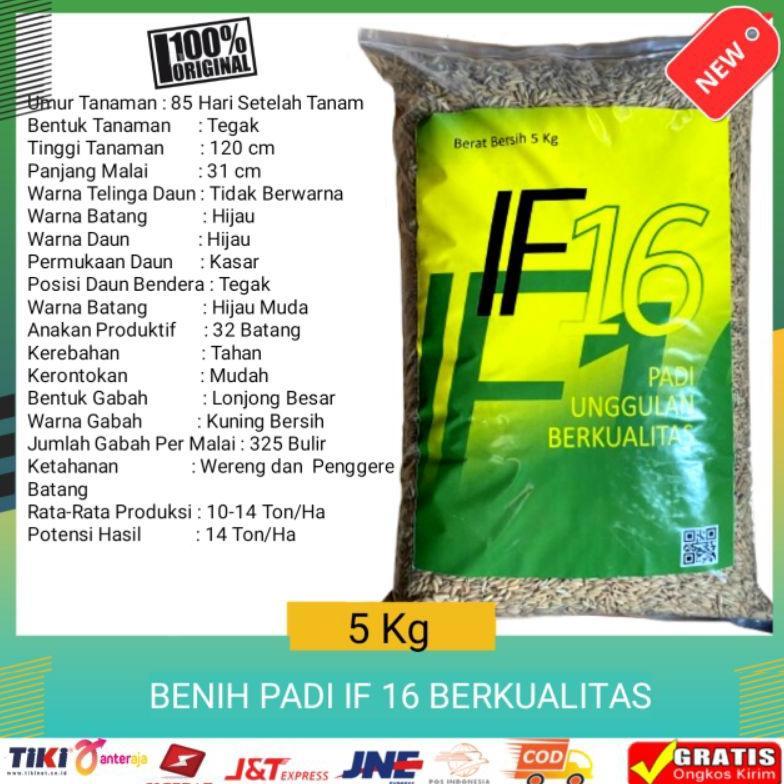 Bisa Cod Benih Bibit Padi Unggul If 16 5Kg Berkualitas >>
