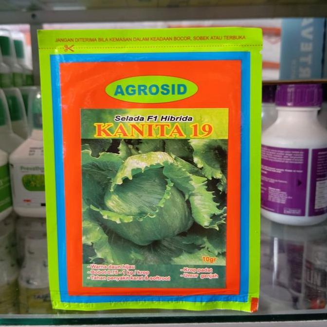 PROMO Benih Selada Lettuce F1 Kanita 19 10gr