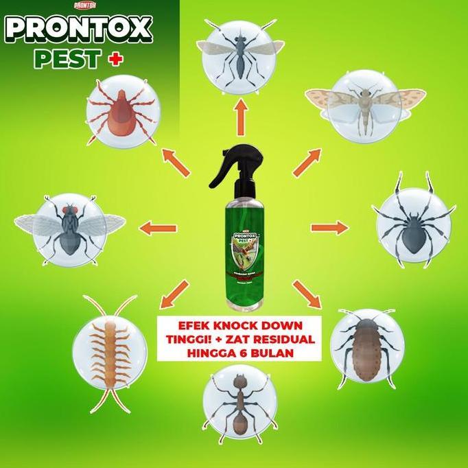 fazazenn - pembasmi tomcat prontox pest plus 250ml pembasmi lalat limbah lalat buah pembasmi lalat k